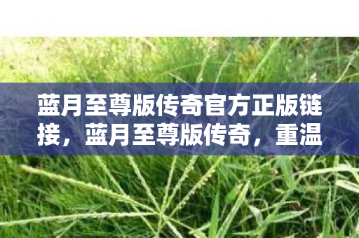 蓝月至尊版传奇官方正版链接,蓝月至尊版传奇,重温经典,再续传奇 蓝月至尊版传奇官方正版链接,蓝月至尊版传奇,重温经典,再续传奇
