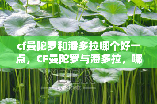 cf曼陀罗和潘多拉哪个好一点，CF曼陀罗与潘多拉，哪个更好？