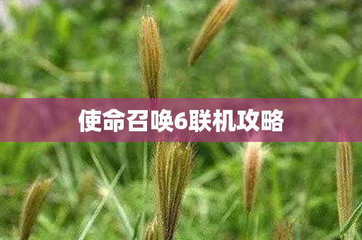 使命召唤6联机攻略
