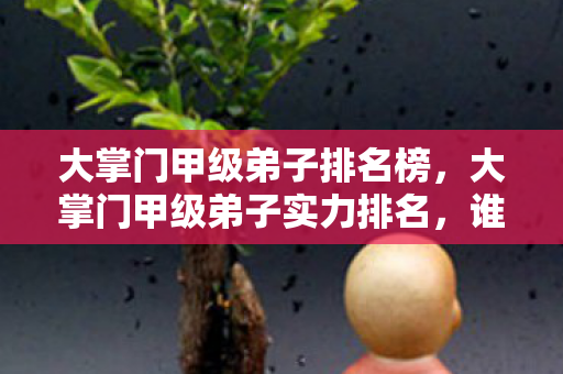 大掌门甲级弟子排名榜,大掌门甲级弟子实力排名,谁才是江湖中的真正强者? 大掌门甲级弟子排名榜,大掌门甲级弟子实力排名,谁才是江湖中的真正强者?