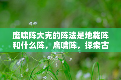鹰啸阵大克的阵法是地载阵和什么阵,鹰啸阵,探索古老战术的现代应用 鹰啸阵大克的阵法是地载阵和什么阵,鹰啸阵,探索古老战术的现代应用