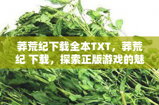 莽荒纪下载全本TXT,莽荒纪 下载,探索正版游戏的魅力 莽荒纪下载全本TXT,莽荒纪 下载,探索正版游戏的魅力