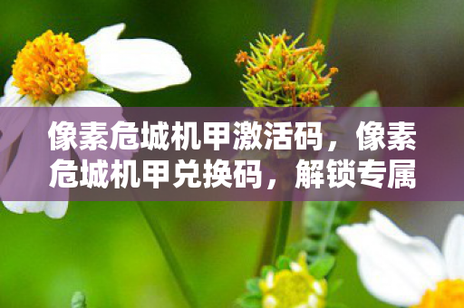 像素危城机甲激活码,像素危城机甲兑换码,解锁专属福利,畅享游戏新体验 像素危城机甲激活码,像素危城机甲兑换码,解锁专属福利,畅享游戏新体验