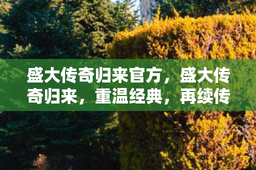 盛大传奇归来官方图片