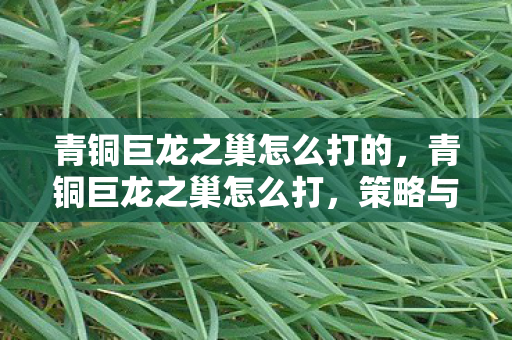 青铜巨龙之巢怎么打的,青铜巨龙之巢怎么打,策略与技巧详解 青铜巨龙之巢怎么打的,青铜巨龙之巢怎么打,策略与技巧详解