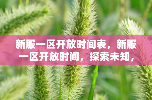 新服一区开放时间表,新服一区开放时间,探索未知,开启冒险之旅 新服一区开放时间表,新服一区开放时间,探索未知,开启冒险之旅