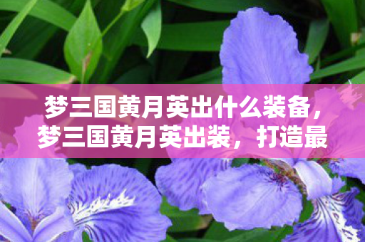 梦三国黄月英出什么装备,梦三国黄月英出装,打造最强辅助的装备选择 梦三国黄月英出什么装备,梦三国黄月英出装,打造最强辅助的装备选择