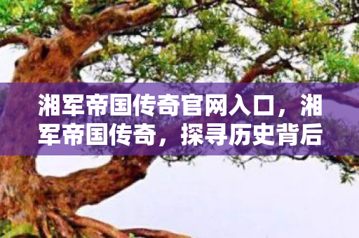 湘军帝国传奇官网入口,湘军帝国传奇,探寻历史背后的传奇故事 湘军帝国传奇官网入口,湘军帝国传奇,探寻历史背后的传奇故事