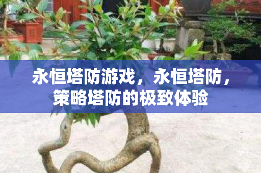 永恒塔防游戏，永恒塔防，策略塔防的极致体验