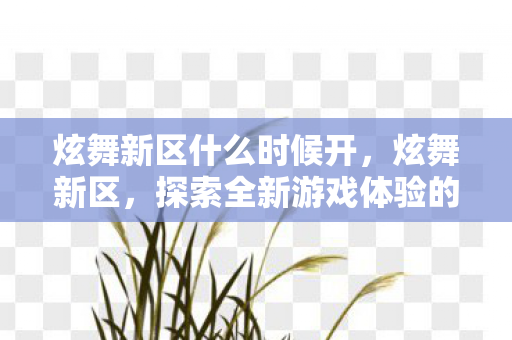 炫舞新区什么时候开,炫舞新区,探索全新游戏体验的奇妙之旅 炫舞新区什么时候开,炫舞新区,探索全新游戏体验的奇妙之旅
