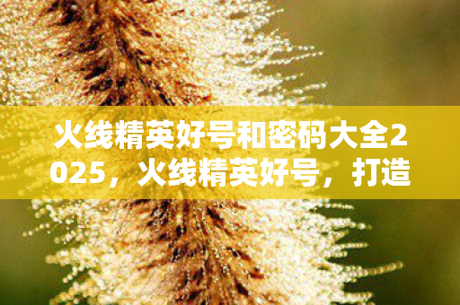 火线精英好号和密码大全2025，火线精英好号，打造你的专属游戏王国