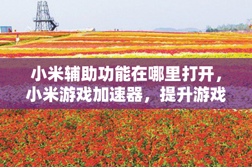 小米辅助功能在哪里打开,小米游戏加速器,提升游戏体验的神奇工具 小米辅助功能在哪里打开,小米游戏加速器,提升游戏体验的神奇工具