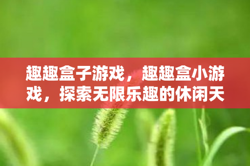 趣趣盒子游戏,趣趣盒小游戏,探索无限乐趣的休闲天地 趣趣盒子游戏,趣趣盒小游戏,探索无限乐趣的休闲天地