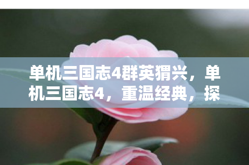 单机三国志4群英猬兴，单机三国志4，重温经典，探索历史的深度与广度