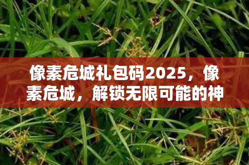像素危城礼包码2025，像素危城，解锁无限可能的神秘礼包码