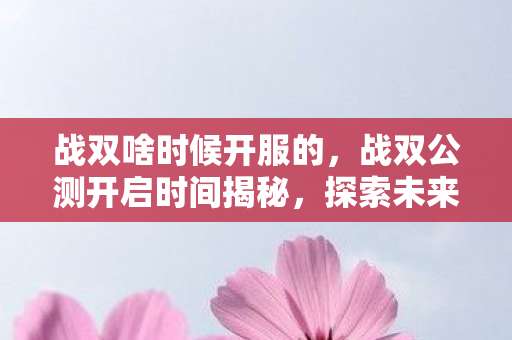 战双啥时候开服的,战双公测开启时间揭秘,探索未来科幻世界的启程 战双啥时候开服的,战双公测开启时间揭秘,探索未来科幻世界的启程
