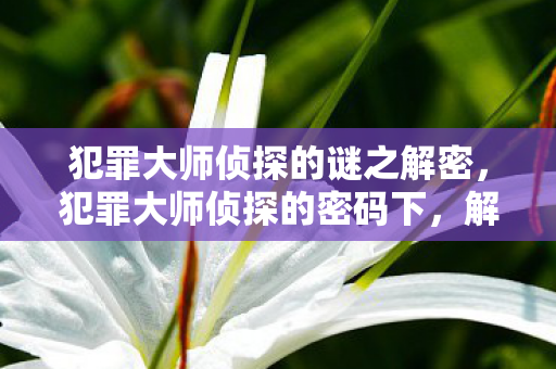 犯罪大师侦探的谜之解密,犯罪大师侦探的密码下,解密侦探世界的数字谜题 犯罪大师侦探的谜之解密,犯罪大师侦探的密码下,解密侦探世界的数字谜题