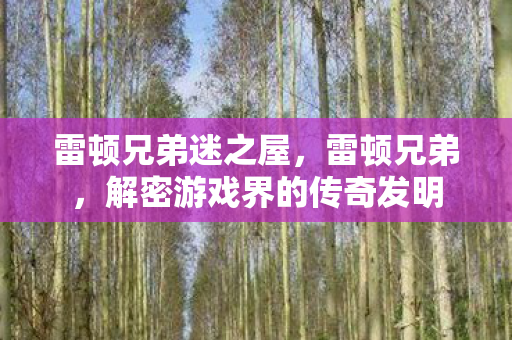 雷顿兄弟迷之屋,雷顿兄弟,解密游戏界的传奇发明 雷顿兄弟迷之屋,雷顿兄弟,解密游戏界的传奇发明