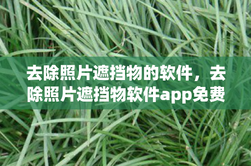 去除照片遮挡物的软件，去除照片遮挡物软件app免费，解锁照片新视角的利器