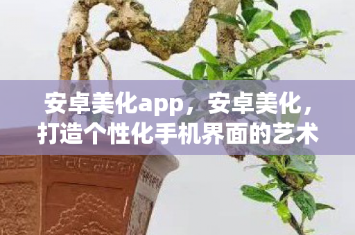 安卓美化app，安卓美化，打造个性化手机界面的艺术之旅