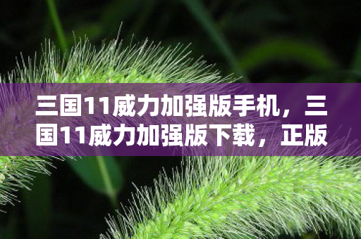 三国11威力加强版手机,三国11威力加强版下载,正版游戏的魅力与体验 三国11威力加强版手机,三国11威力加强版下载,正版游戏的魅力与体验