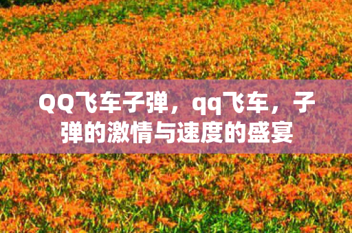 QQ飞车子弹,qq飞车,子弹的激情与速度的盛宴 QQ飞车子弹,qq飞车,子弹的激情与速度的盛宴