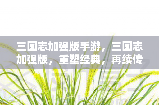 三国志加强版手游,三国志加强版,重塑经典,再续传奇 三国志加强版手游,三国志加强版,重塑经典,再续传奇