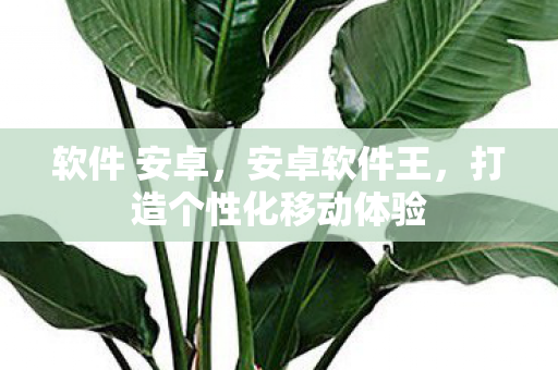 软件 安卓,安卓软件王,打造个性化移动体验 软件 安卓,安卓软件王,打造个性化移动体验