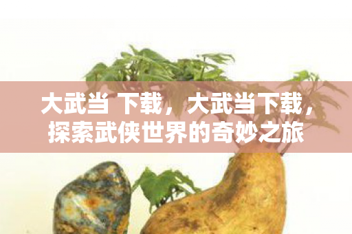 大武当 下载,大武当下载,探索武侠世界的奇妙之旅 大武当 下载,大武当下载,探索武侠世界的奇妙之旅