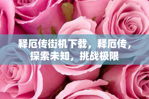 释厄传街机下载，释厄传，探索未知，挑战极限