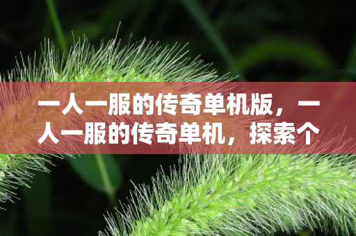 一人一服的传奇单机版,一人一服的传奇单机,探索个性化游戏的魅力 一人一服的传奇单机版,一人一服的传奇单机,探索个性化游戏的魅力