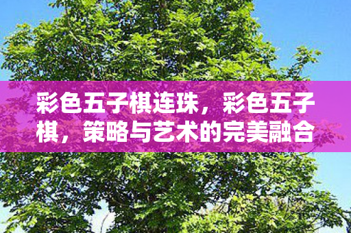 彩色五子棋连珠，彩色五子棋，策略与艺术的完美融合