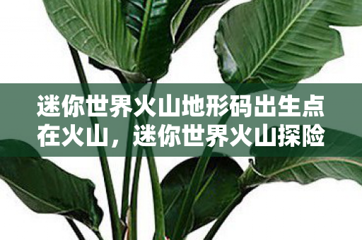 迷你世界火山地形码出生点在火山，迷你世界火山探险，揭秘神秘地形码
