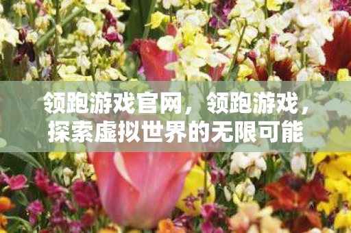 领跑游戏官网,领跑游戏,探索虚拟世界的无限可能 领跑游戏官网,领跑游戏,探索虚拟世界的无限可能