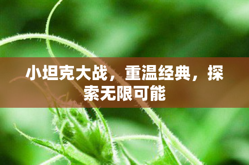 小坦克大战,重温经典,探索无限可能 小坦克大战,重温经典,探索无限可能