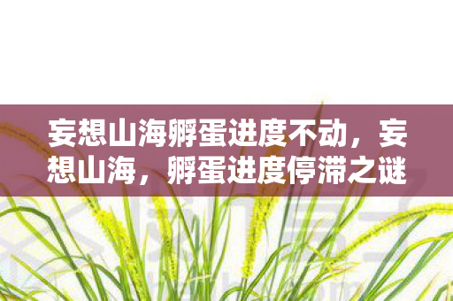 妄想山海孵蛋进度不动，妄想山海，孵蛋进度停滞之谜