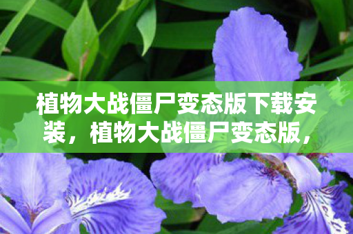植物大战僵尸变态版下载安装，植物大战僵尸变态版，策略与乐趣的极致融合