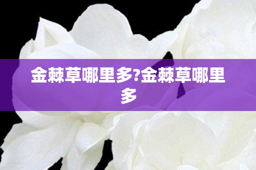 金棘草哪里多?金棘草哪里多 金棘草哪里多?金棘草哪里多