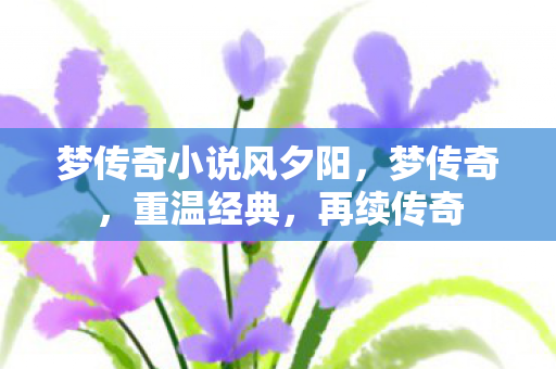 梦传奇小说风夕阳,梦传奇,重温经典,再续传奇 梦传奇小说风夕阳,梦传奇,重温经典,再续传奇