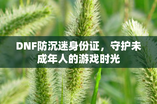 DNF防沉迷身份证，守护未成年人的游戏时光