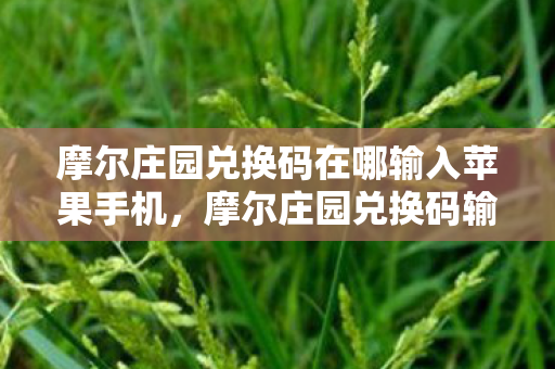 摩尔庄园兑换码在哪输入苹果手机,摩尔庄园兑换码输入指南 摩尔庄园兑换码在哪输入苹果手机,摩尔庄园兑换码输入指南
