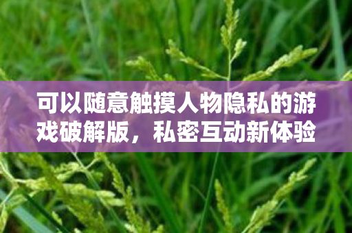 可以随意触摸人物隐私的游戏破解版,私密互动新体验,探索趣味角色触摸游戏 可以随意触摸人物隐私的游戏破解版,私密互动新体验,探索趣味角色触摸游戏