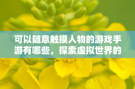 可以随意触摸人物的游戏手游有哪些,探索虚拟世界的奇妙之旅,沉浸式手游体验 可以随意触摸人物的游戏手游有哪些,探索虚拟世界的奇妙之旅,沉浸式手游体验