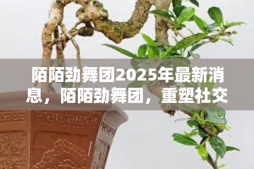 陌陌劲舞团2025年最新消息,陌陌劲舞团,重塑社交舞蹈的潮流新篇章 陌陌劲舞团2025年最新消息,陌陌劲舞团,重塑社交舞蹈的潮流新篇章