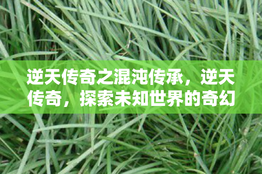 逆天传奇之混沌传承,逆天传奇,探索未知世界的奇幻之旅 逆天传奇之混沌传承,逆天传奇,探索未知世界的奇幻之旅