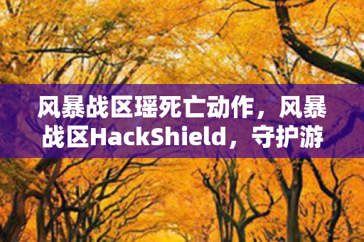风暴战区瑶死亡动作,风暴战区HackShield,守护游戏安全的坚固盾牌 风暴战区瑶死亡动作,风暴战区HackShield,守护游戏安全的坚固盾牌
