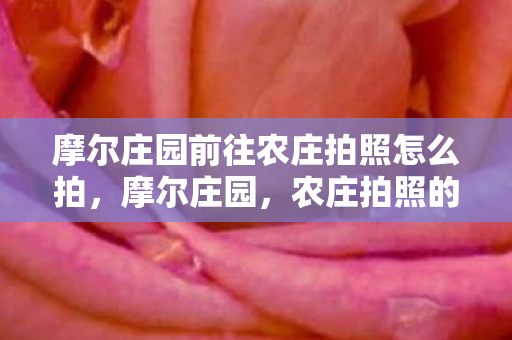 摩尔庄园前往农庄拍照怎么拍,摩尔庄园,农庄拍照的温馨时光 摩尔庄园前往农庄拍照怎么拍,摩尔庄园,农庄拍照的温馨时光