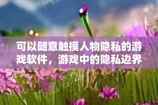 可以随意触摸人物隐私的游戏软件,游戏中的隐私边界,探索虚拟世界的伦理挑战 可以随意触摸人物隐私的游戏软件,游戏中的隐私边界,探索虚拟世界的伦理挑战