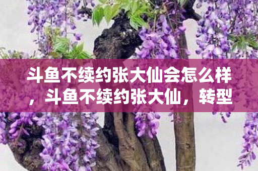 斗鱼不续约张大仙会怎么样，斗鱼不续约张大仙，转型之路与未来展望