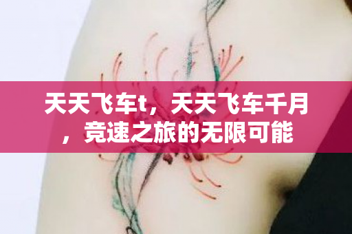 天天飞车t，天天飞车千月，竞速之旅的无限可能